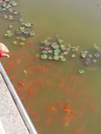 经常浮亏我没说