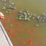 经常浮亏我没说