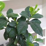 即将迎来春暖花开的3月份