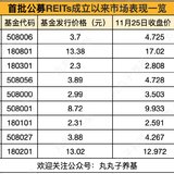 首批REITs最高涨幅超27%！第二批来了，要买点吗？