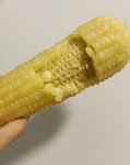 Day14.减脂打卡