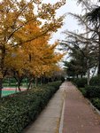 再见，11月~