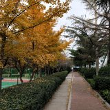 再见，11月~