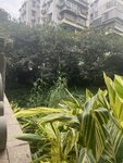 元气满满三十天-养生打卡Day7