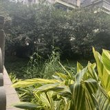 元气满满三十天-养生打卡Day7