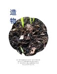 造物