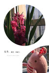 身体好，有钱还要有爱
