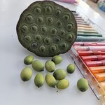 莲蓬，夏天的感觉来了