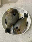 清蒸鱼