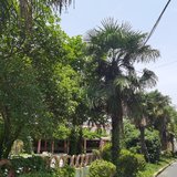 5月又要过去了