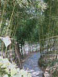 2月，再见！