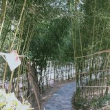 2月，再见！