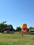 Day3打卡通州阿派朗创造力乐园