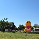 Day3打卡通州阿派朗创造力乐园
