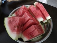 亲手种的🍉