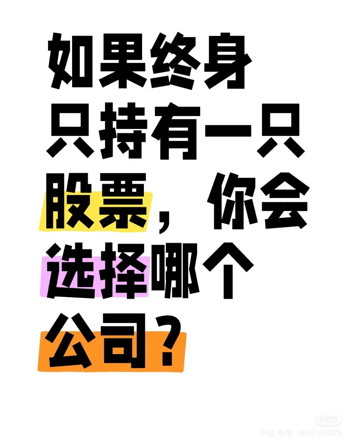 如果终身只持有一只股票，会选择哪一支？