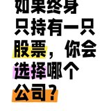 如果终身只持有一只股票，会选择哪一支？