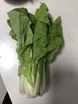 养生局：今天吃儿子用知识买的菜
