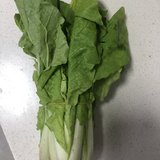 养生局：今天吃儿子用知识买的菜