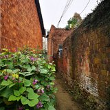 乡间生活小记