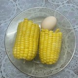 Day3-21天减脂