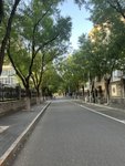如常如愿