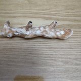 串亲戚