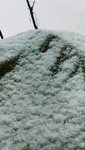 day2。瑞雪兆丰年