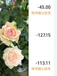 养生局：500一个月，我很认真
