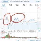 今日有操作：补了点股票，计划做T。华泰国际申请入金