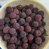 儿子人脉送的杨梅