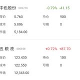 【2020.2.14操作】买入五粮液、中色