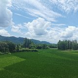 7月，再见