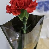 也来聊聊母亲节