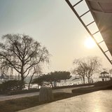 day5:继续宅家