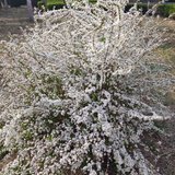 学会了用网盘