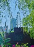 五一游合肥 （国内亲子游第12站）