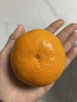 今年的新宠橘子：涌泉蜜桔