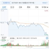 今日有操作：补了些基金