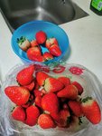 草莓季🍓的快乐