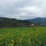 春日踏青
