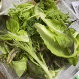Day15-21天减脂