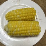 day1开始记录减脂啦！