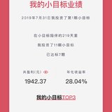 小目标年化收益率28%