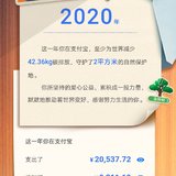 2020账单