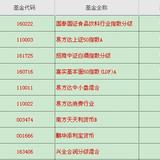 2019年打算定投基金明细