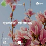 运动打卡