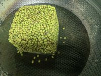 自制解暑神器——绿豆棒冰