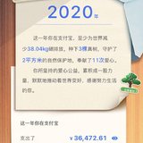 晒2020年度支付宝账单