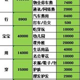 2020年预算31W，加油